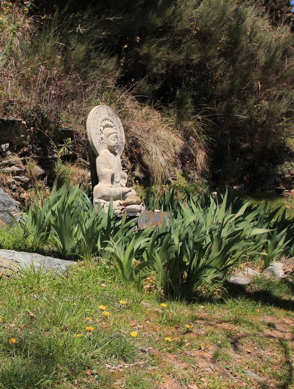Hostal Rural Las Terrazas De La Alpujarra Bubión Eksteriør billede