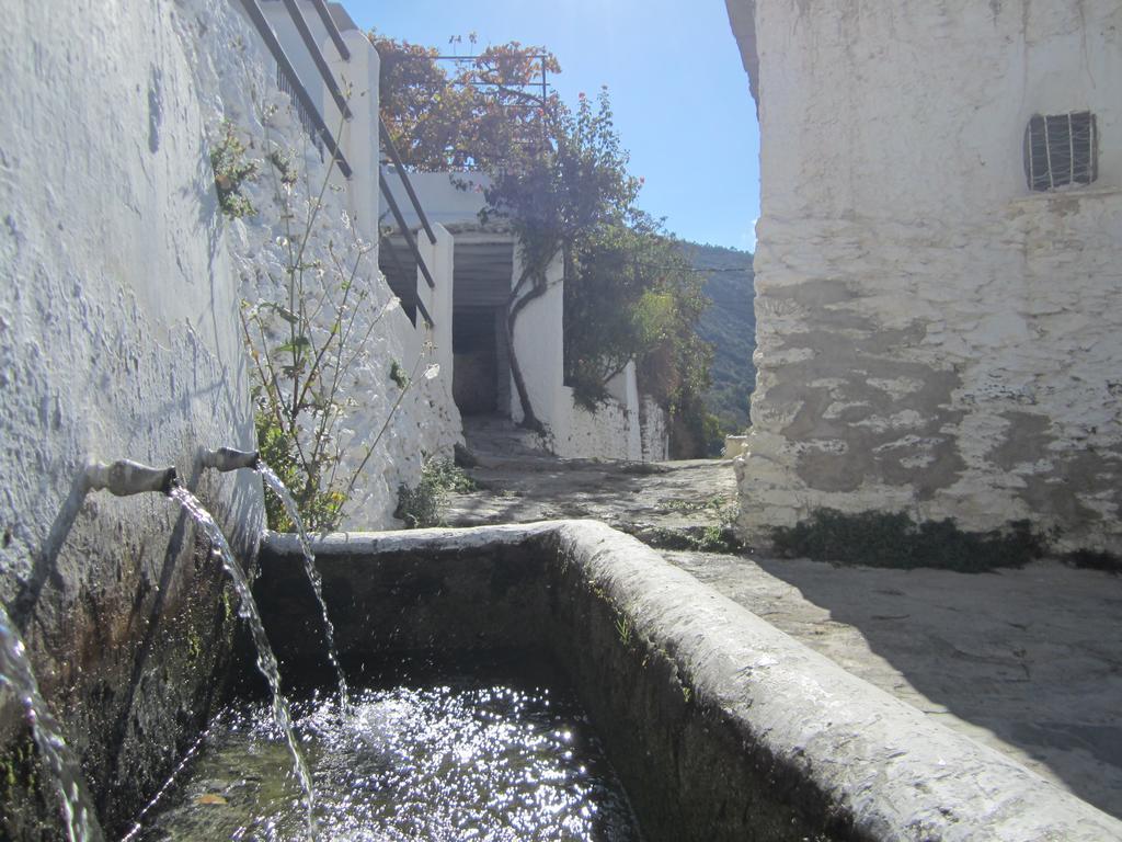 Hostal Rural Las Terrazas De La Alpujarra Bubión Eksteriør billede